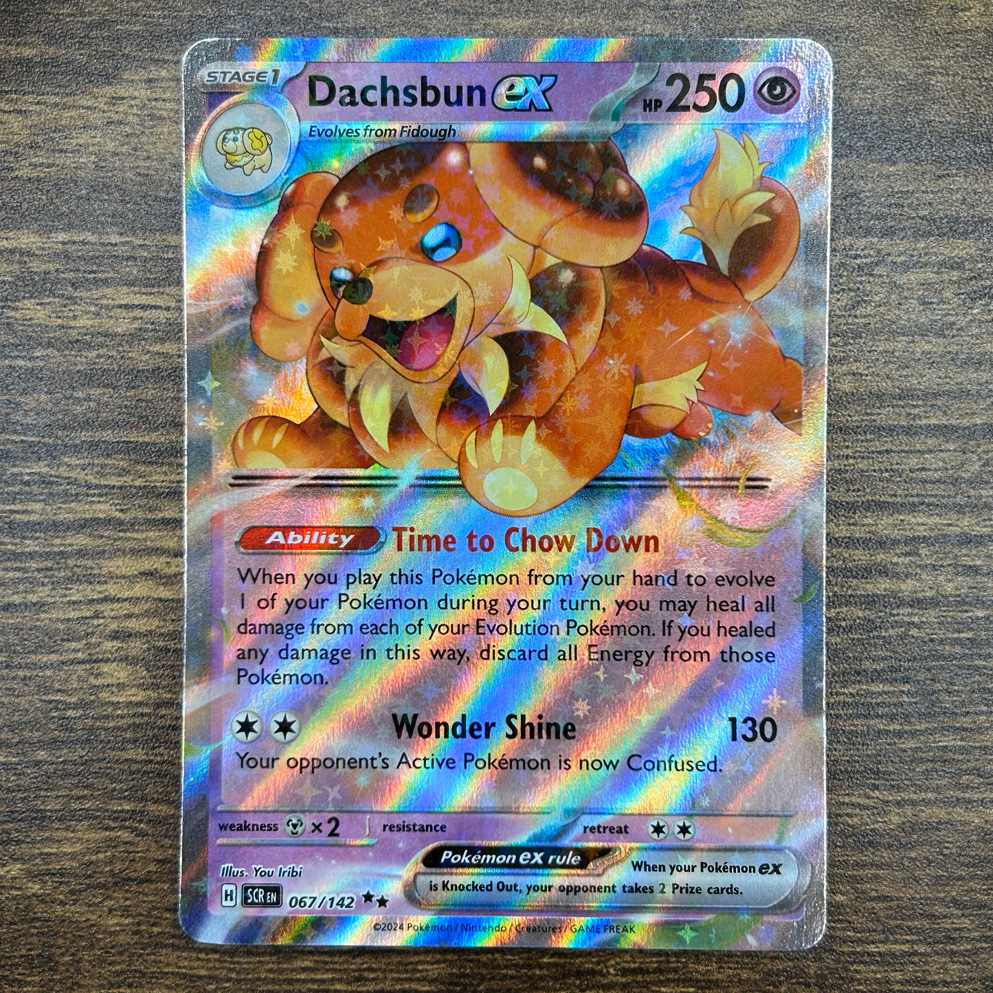 Dachsbun ex 67/142