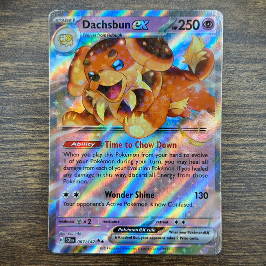 Dachsbun ex 67/142