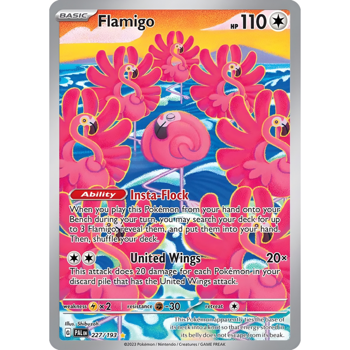 Flamigo 227/193