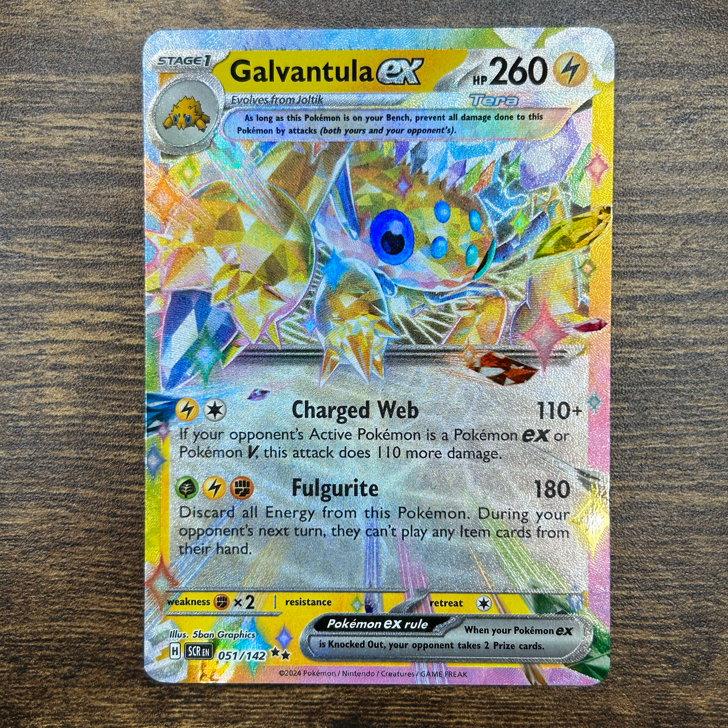 Galvantula ex 51/142