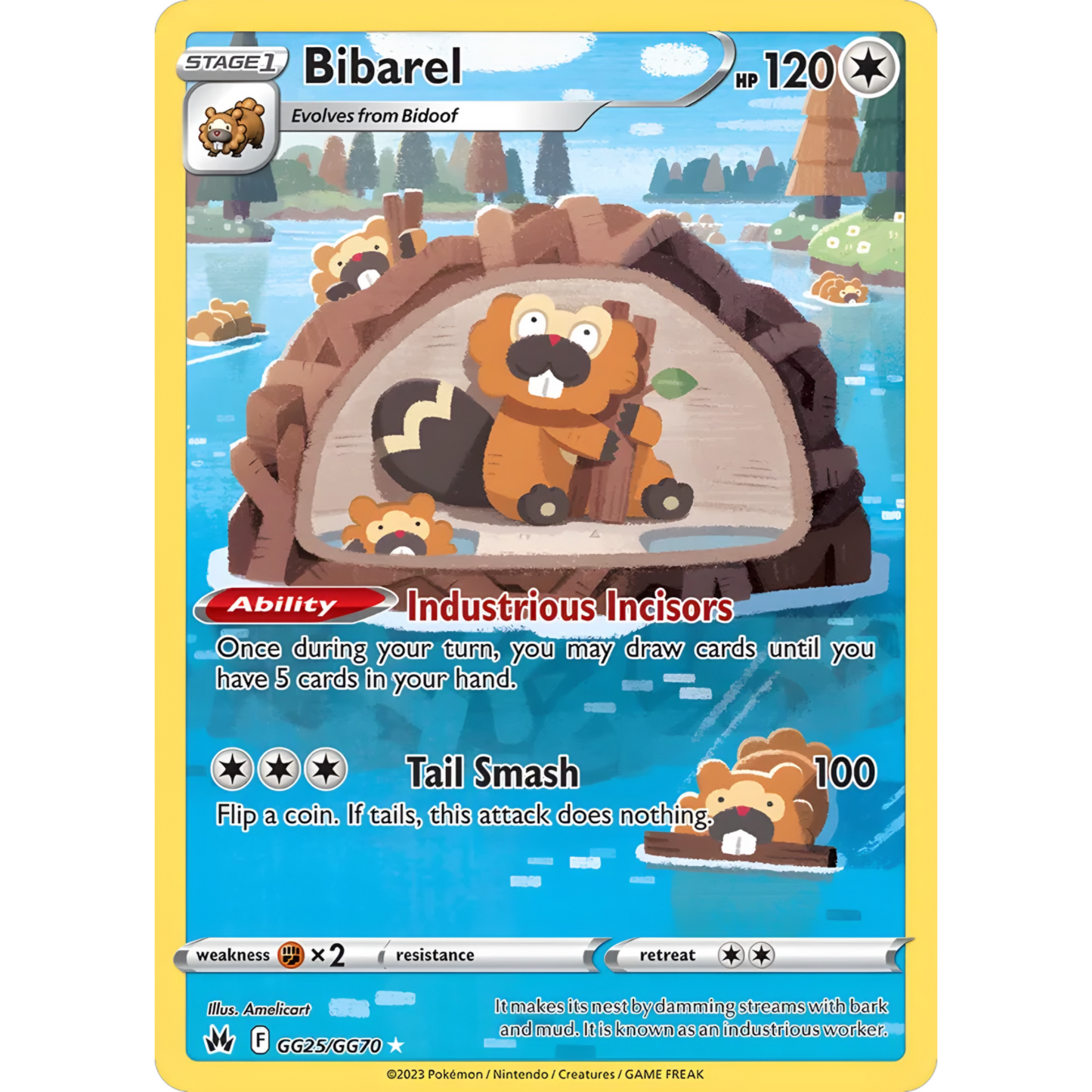 Bibarel GG25/GG70