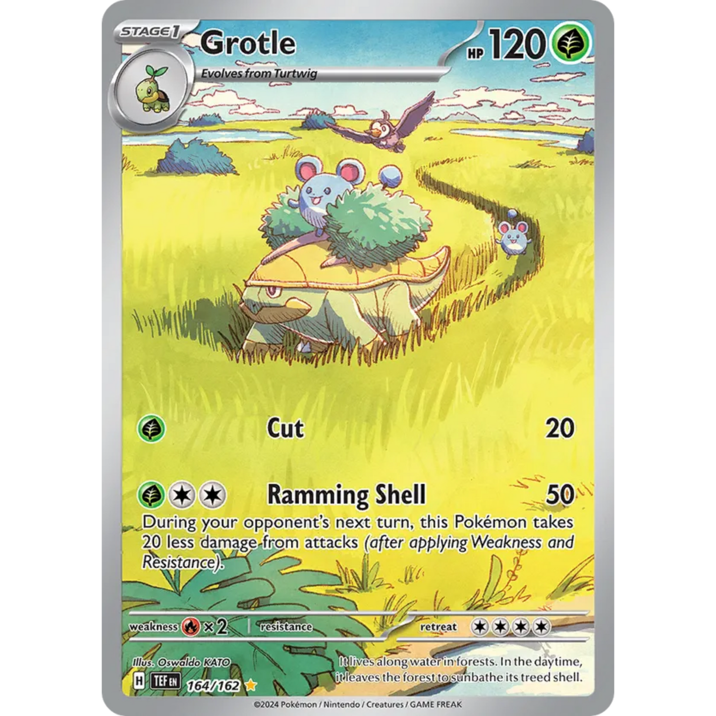 Grotle 164/162