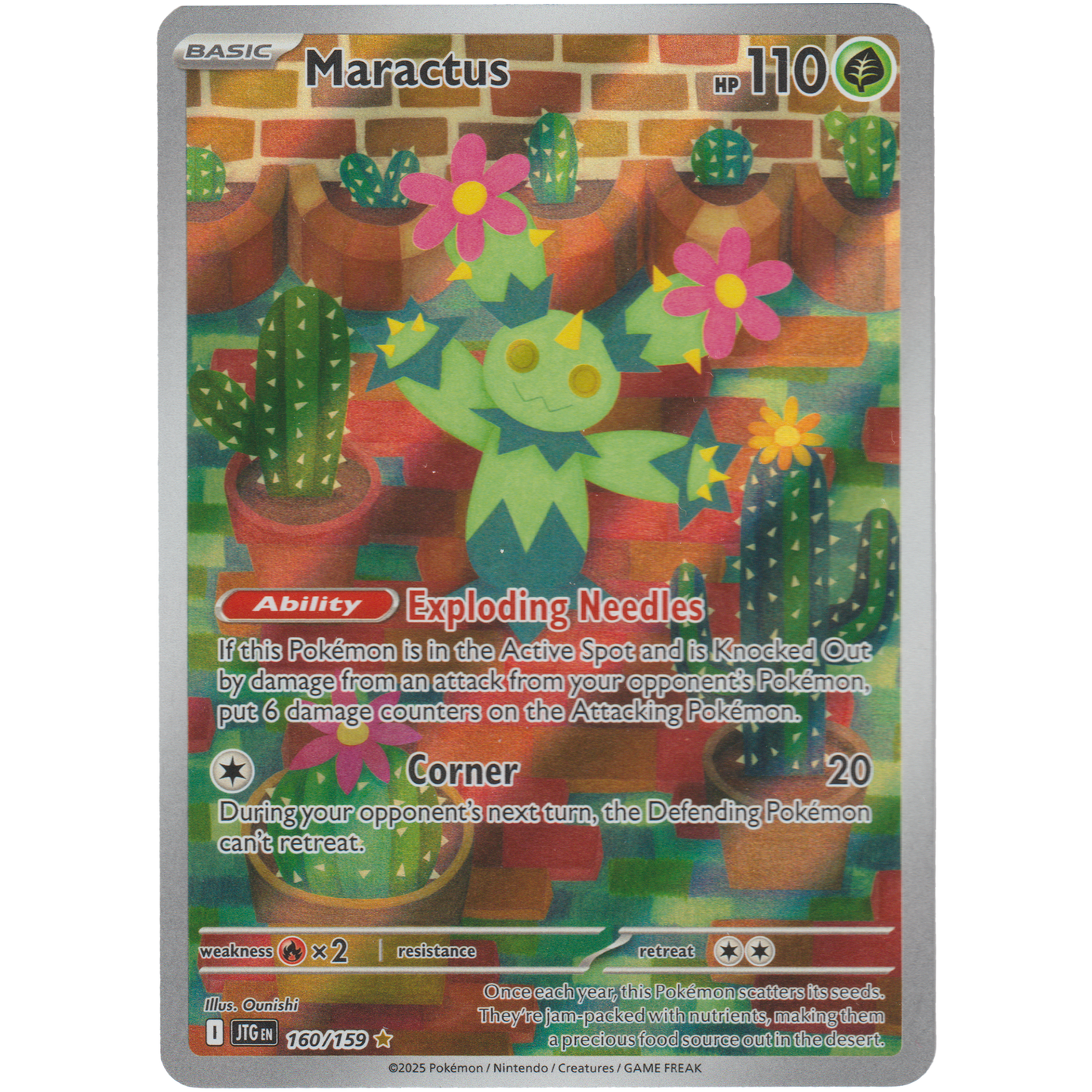 Maractus 160/159