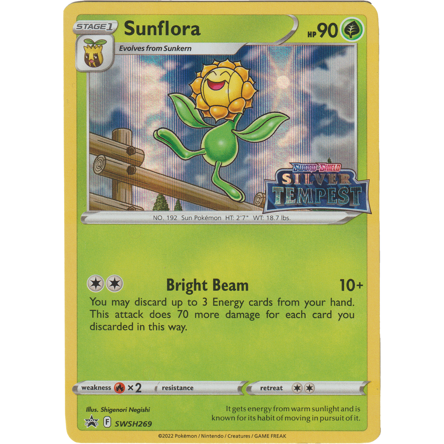 Sunflora SWSH269