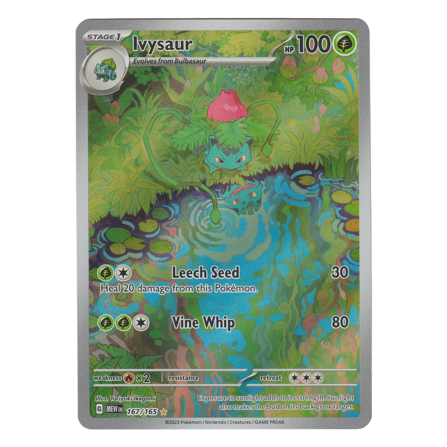 Ivysaur 167/165