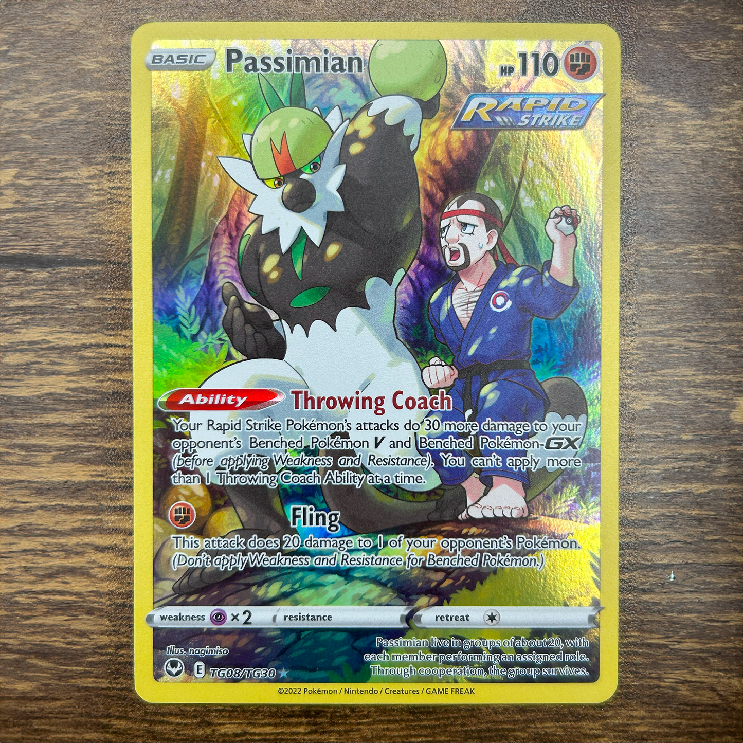 Passimian 8/30