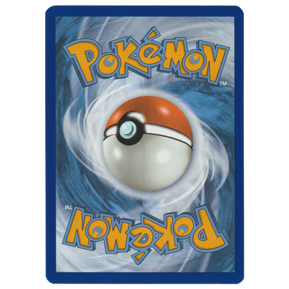 Squirtle 148/142