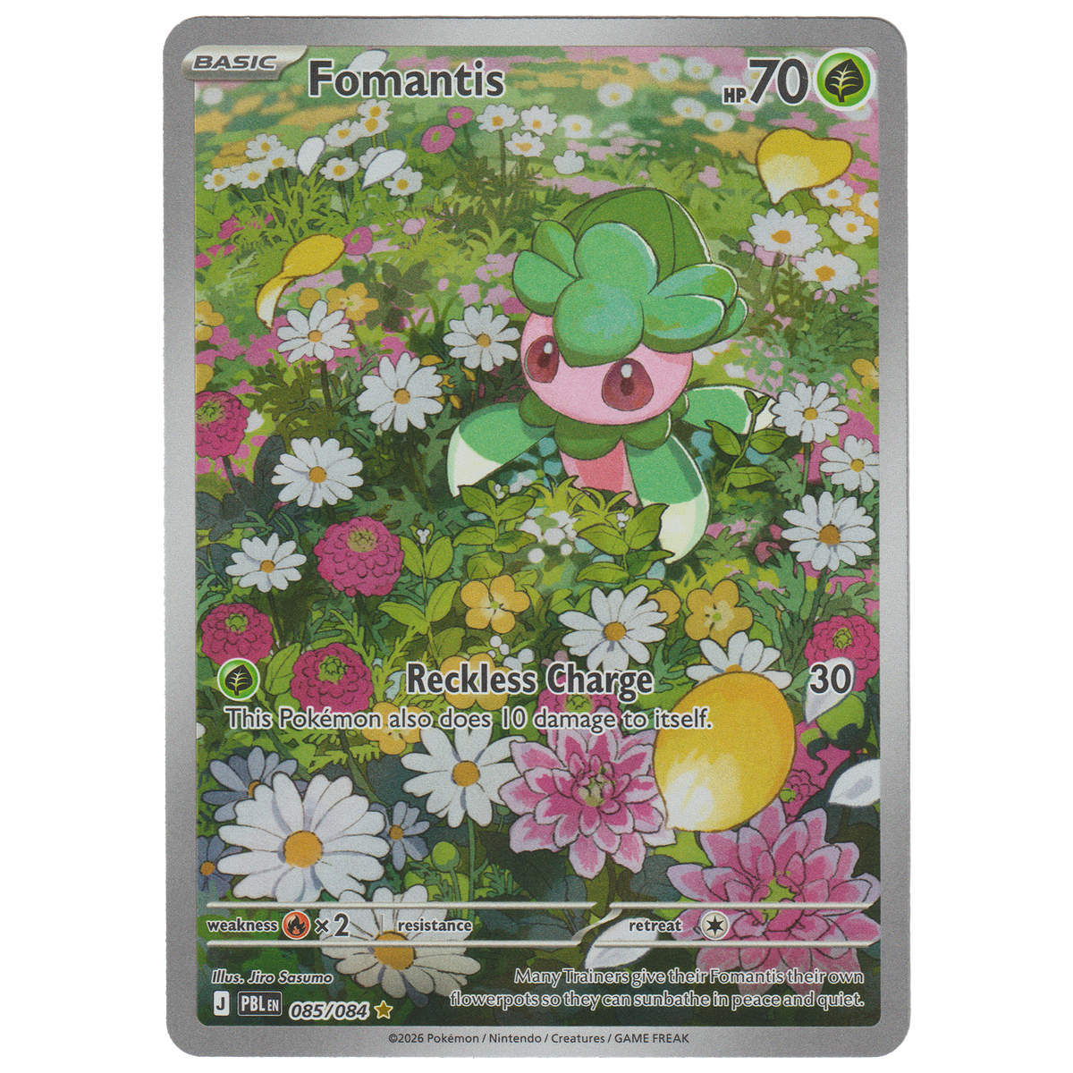 Fomantis 085/084