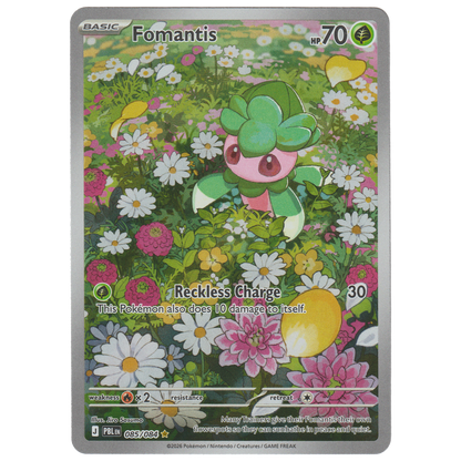 Fomantis 085/084