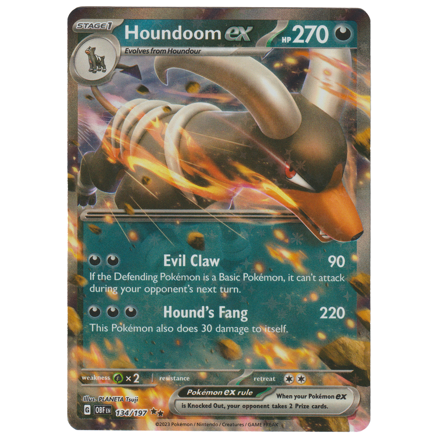 Houndoom ex 134/197