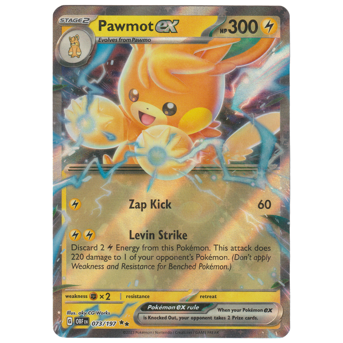 Pawmot ex 73/197