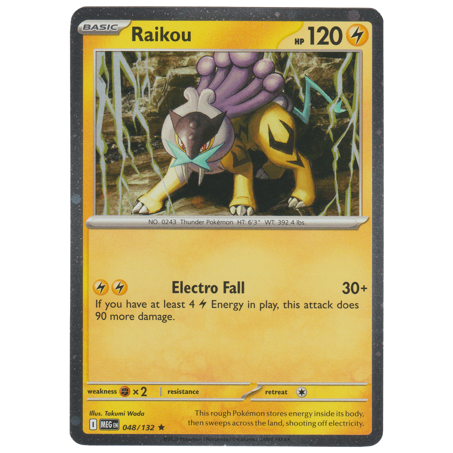 Raikou 048/132 (Cosmos Holofoil 2 Pack Blister)