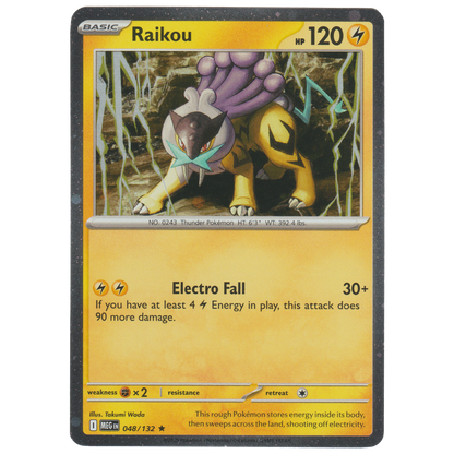 Raikou 048/132 (Cosmos Holofoil 2 Pack Blister)