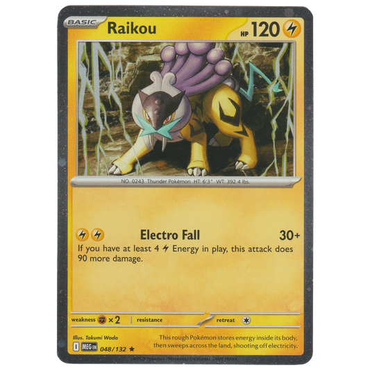 Raikou 048/132 (Cosmos Holofoil 2 Pack Blister)