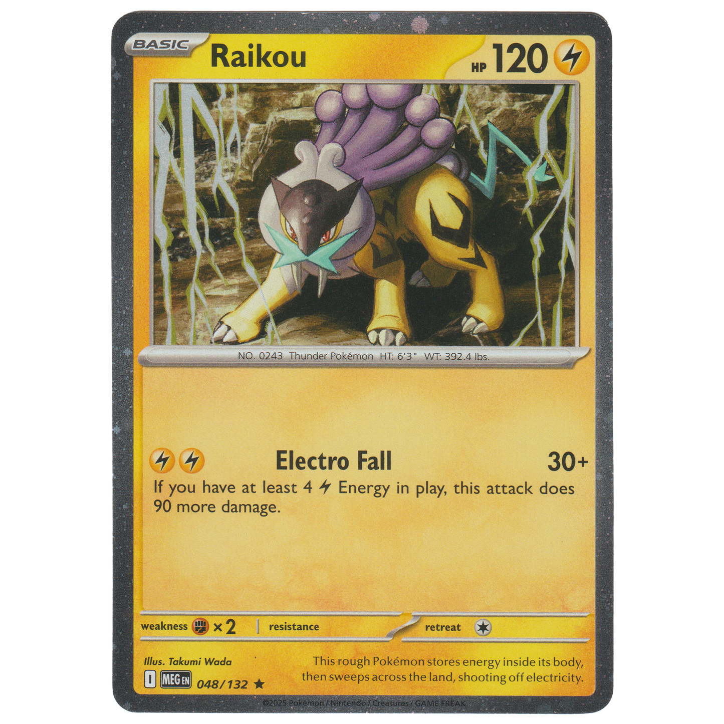 Raikou 048/132 (Cosmos Holofoil 2 Pack Blister)