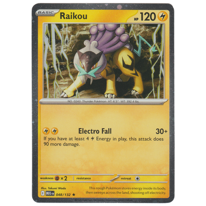 Raikou 048/132 (Cosmos Holofoil 2 Pack Blister)