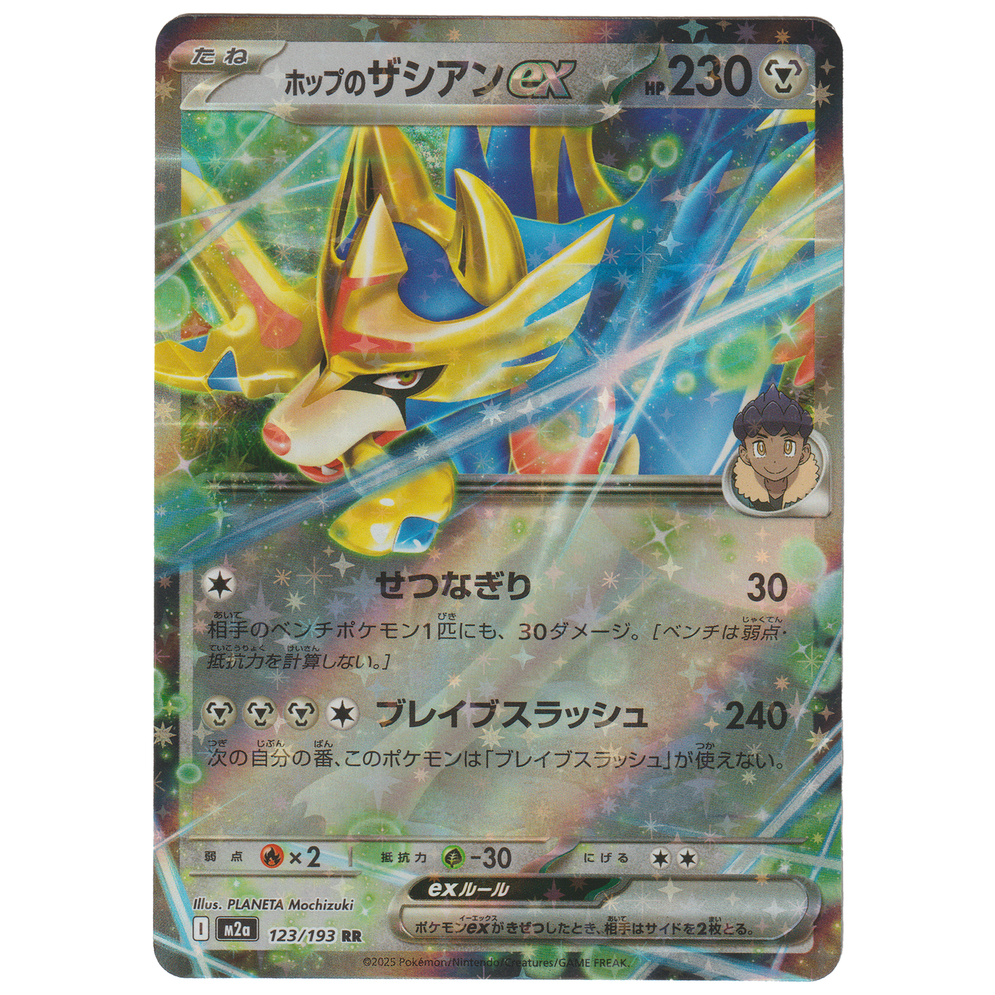 Hop's Zacian ex 123/193