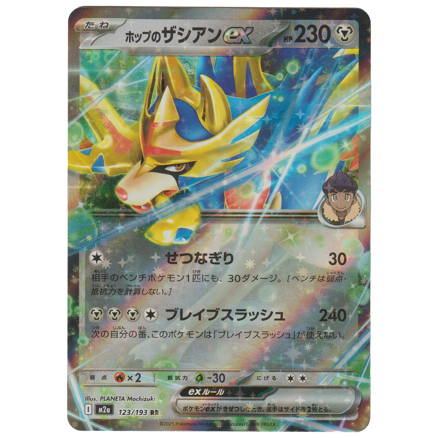 Hop's Zacian ex 123/193